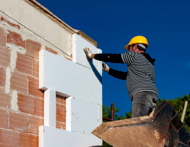 Best DIY Insulation Kits and Guidance in South Apopka, FL