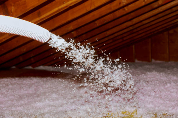 Best Blown-in Insulation in South Apopka, FL