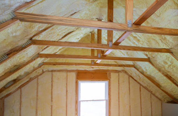 Best Commercial Insulation in South Apopka, FL