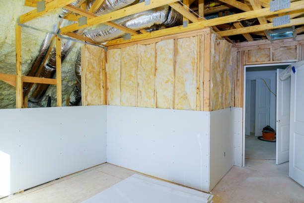 Best Spray Foam Insulation in South Apopka, FL