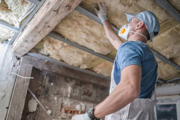 Best Eco-Friendly Insulation in South Apopka, FL