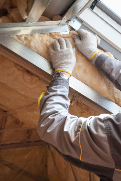Best Specialized Insulation Services in South Apopka, FL