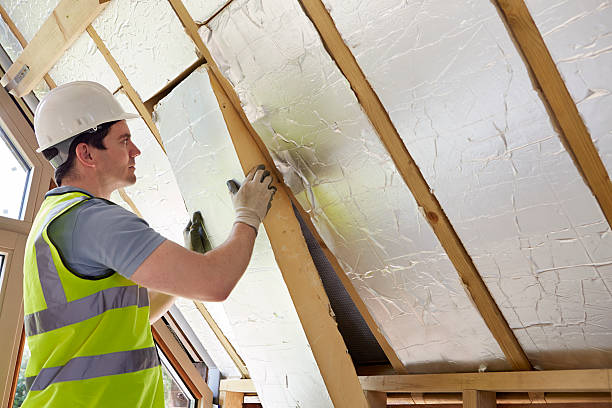 Types of Insulation We Offer in South Apopka, FL