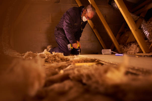 Professional Insulation Contractor in South Apopka, FL